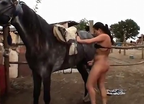 Взвинченная брюнеточка передергивает мерину конец и занимается сексом в писечку посмотрите зоо порно видеоролик