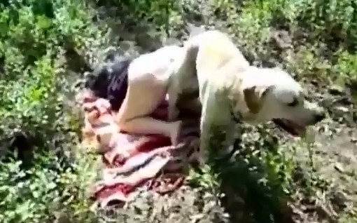 Dog sex извращенка с поражающей задницей подъебнулась с четвероногим другом в лесочку порнозоо фильм